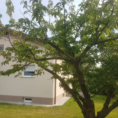 Pocitniska Hisa Hum Holiday home