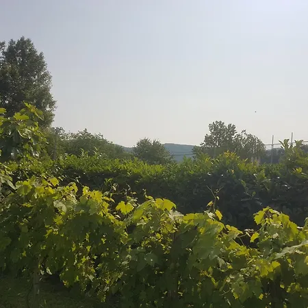 Vikendica Pocitniska Hisa Hum