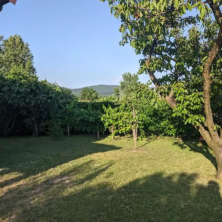 Pocitniska Hisa Hum