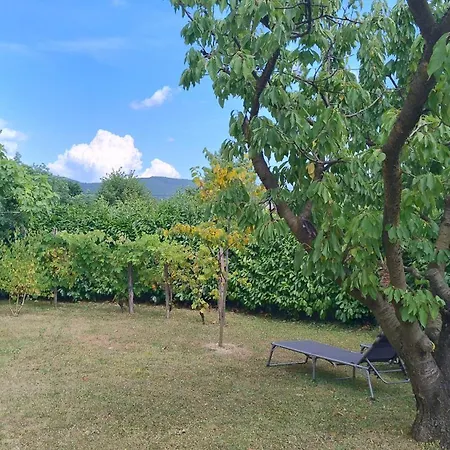 Pocitniska Hisa Hum Kojsko