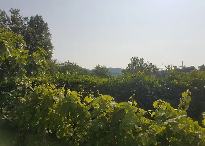 Σπίτι διακοπών Pocitniska Hisa Hum