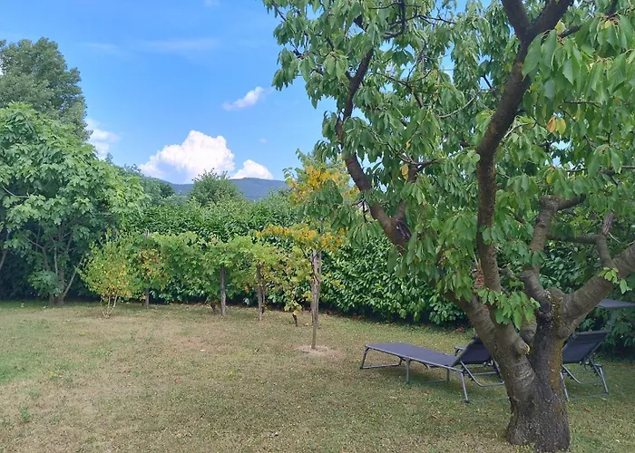 Pocitniska Hisa Hum Kojsko